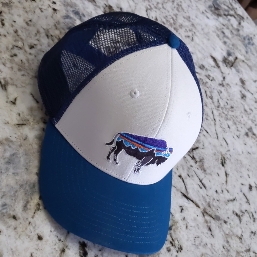 Patagonia trucker hat